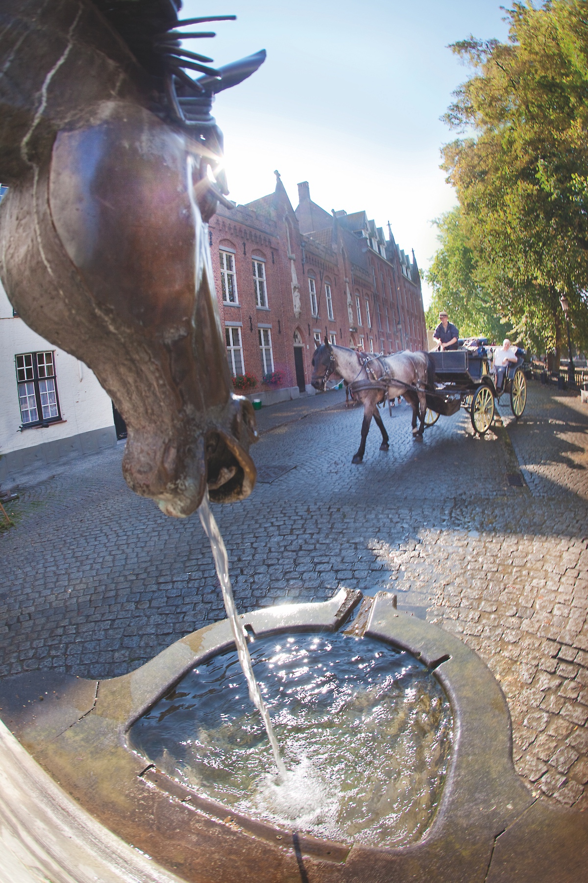 Wijngaardplein, with a fountain in the shape of a horse's head from which water flows into a basin, and a horse with a carriage in the background